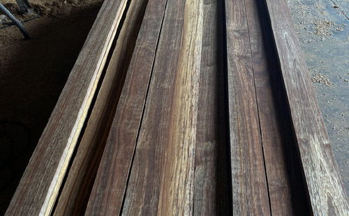 从源头把关，打造卓越品质——菠萝格实木地板定制与防腐木加工一站式服务