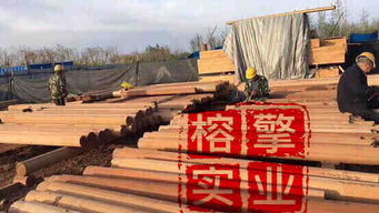 襄樊市菠萝格防腐木厂家与加工厂全解析 工艺、选择与市场前景